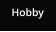 Hobby